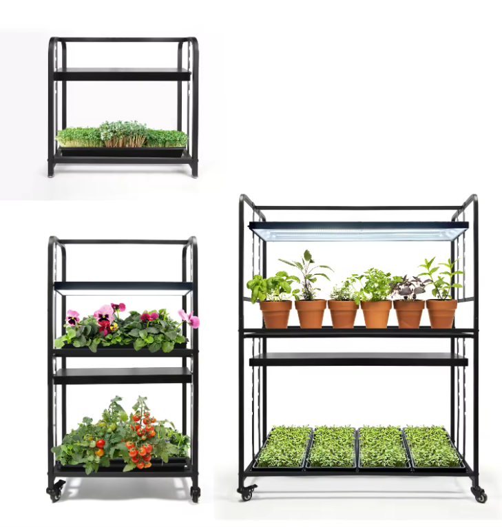 Система выращивания микрозелени Growsvet 24 WСистема выращивания микрозелени Growsvet 24 W