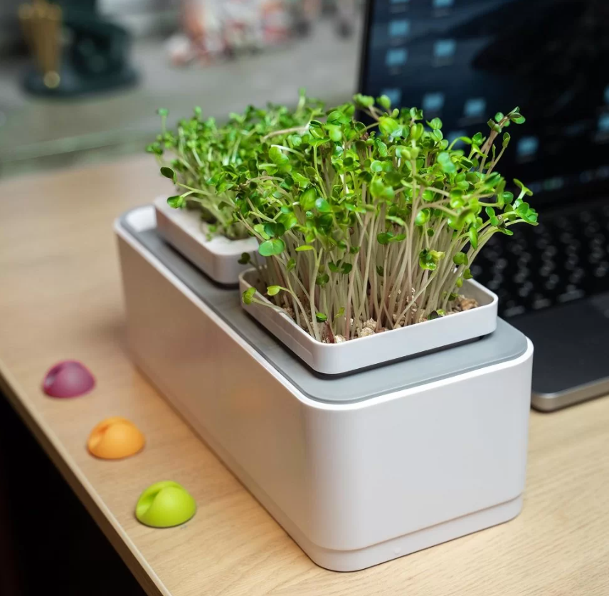 Компактный смарт-сад - GardenКомпактный смарт-сад - Garden