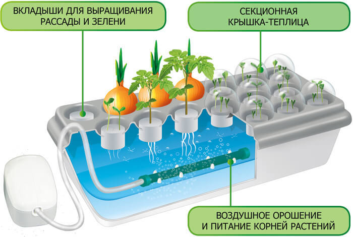 Двойная Чудо-грядка «Здоровья Клад»Двойная Чудо-грядка «Здоровья Клад»