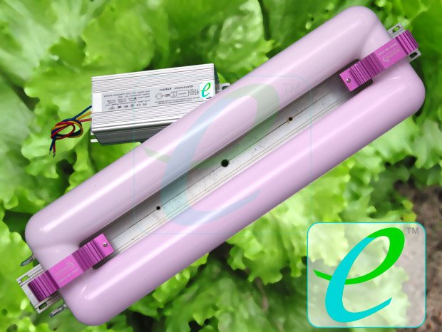 Фитолампа индукционная Юпитер 300 W+Эпра (FLORA)Фитолампа индукционная Юпитер 300 W+Эпра (FLORA)